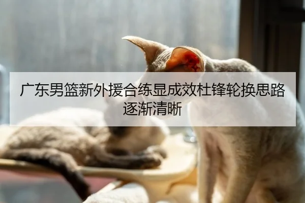 广东男篮新外援合练显成效杜锋轮换思路逐渐清晰