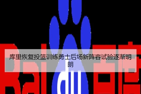 库里恢复投篮训练勇士后场新阵容试验逐渐明朗